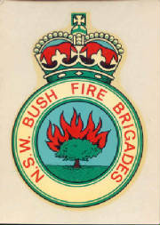 bushfirebrigcartransfer2.jpg
